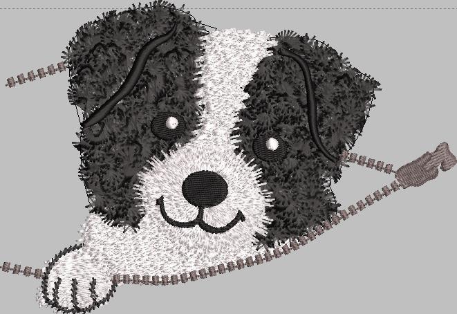 Border collie coucou 13x18
