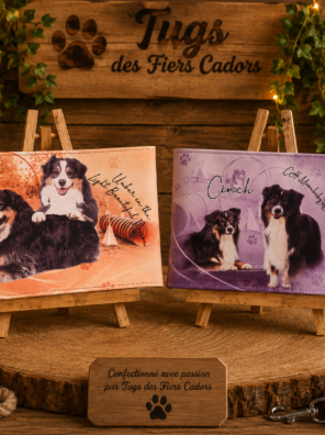 Protèges carnet