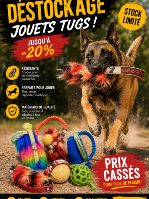 Jouets Déstockage