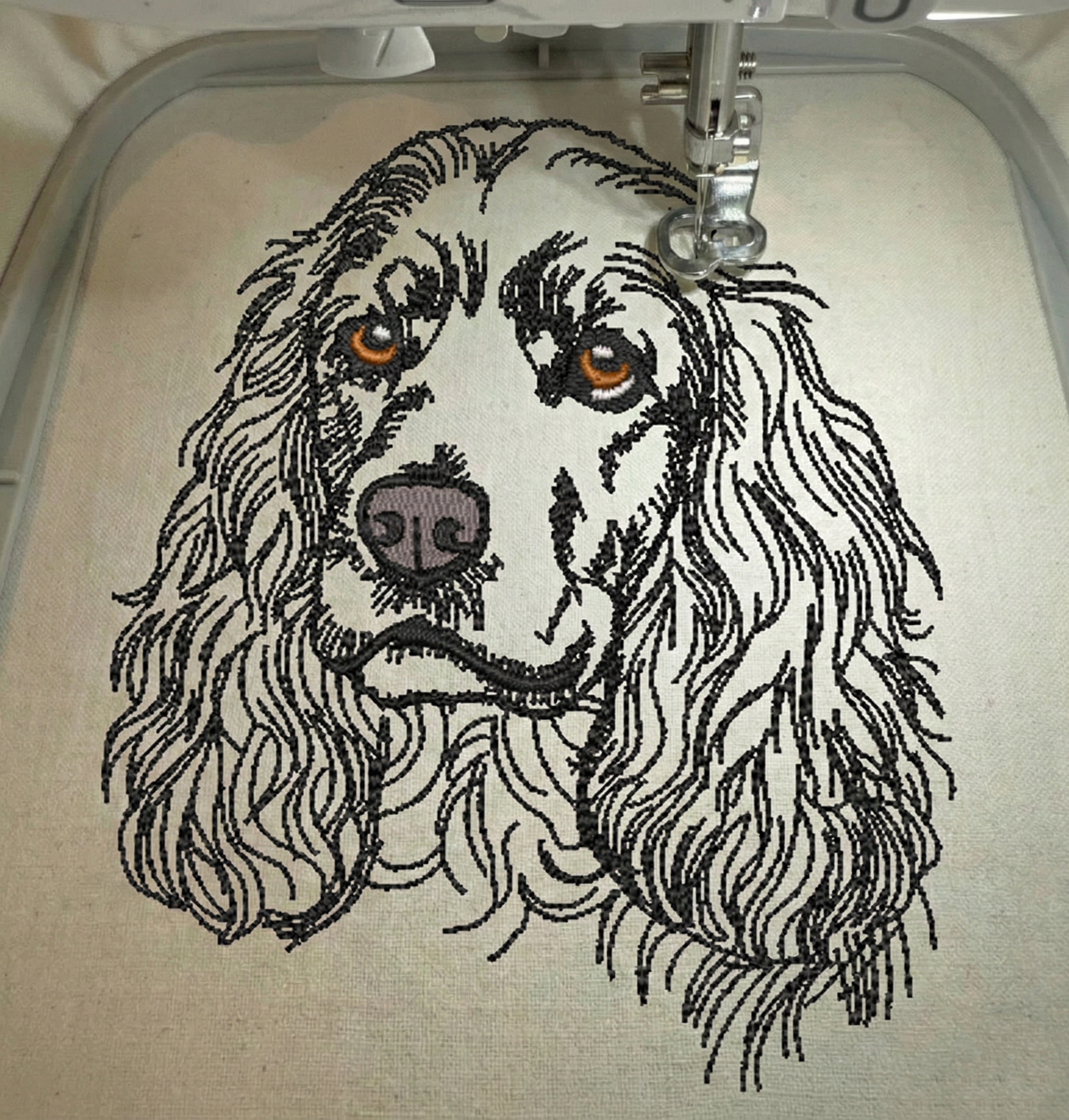 Cocker3